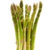 5 Green Asparagus Plants - Healthy, Vigorous Plants - Seedling Vegetable Plants - Zone 3 To 9