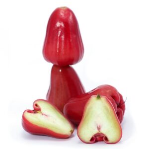60 Jambu Wax, Rose Apple