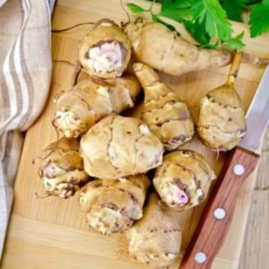 6 132 10 Fresh Jerusalem Artichoke Tubers For Planting - Organic Sunchoke, Sunroot Tubers - Freshly Dug - Outdoors - Zone: 3 to 9 - Spring, Fall Planting