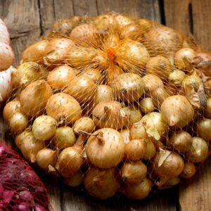 Onion Sets Yellow 221293189 SHUT sq Web 1024x v1 Yellow Onion Bulbs, Bulbing Onion Seeds, 100 Bulbs Onion Bulbs For Planting, Onion Sets, Bulk Onion Sets