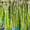 10 Pack Mary Washington Asparagus Crowns Live, 2 Yrs Old Asparagus Roots
