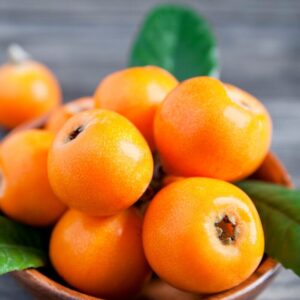 Alternative view of Golden Loquat Plant - Japanese Plum Tree Plant