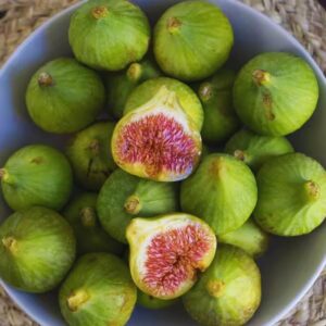whitekado 5 White Kadota Fig Tree - 4 to 6 Inc Tall