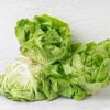 White Boston Butterhead Lettuce Seeds