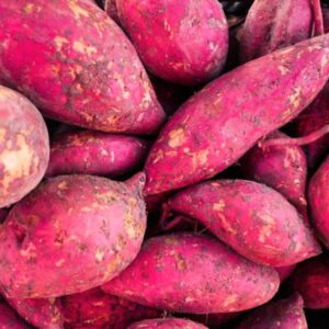 63 3 Japanese Red Sweet Potato Slips, Sweet Potato Vine Live Plant - 5 Rooted Plants - Non-Gmo Organic - Well Rooted - Zone: 10-11- Outdoors - Full Sun