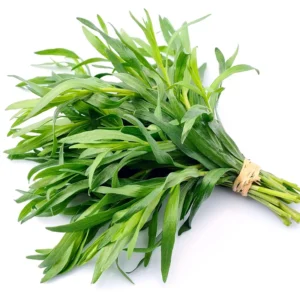 2 Pots Tarragon Plants Live, Tarragon Live Plant In 4 Inch Pot, Texas Tarragon Herb for Indoor or Outdoor Gardens