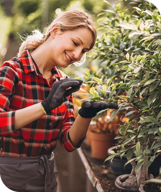 beautiful woman taking care of plants