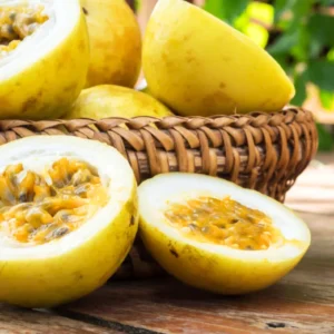 Passion Fruit Tree, 4 to 8 Inch Tall, Passion Fruit Tree Live Plant, Passionfruit Tree - Yellow