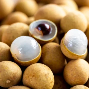 Longan Fruit Tree Live Plant - 8-12 Inch Tall Longan Plant