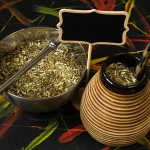 Yerba Mate Plants 2-Pack Live Starter Trees 4-6 Inches Tall