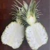 Live Pineapple Plant Starter - 4-7 Inches Tall - No Pot - Outdoor Growing