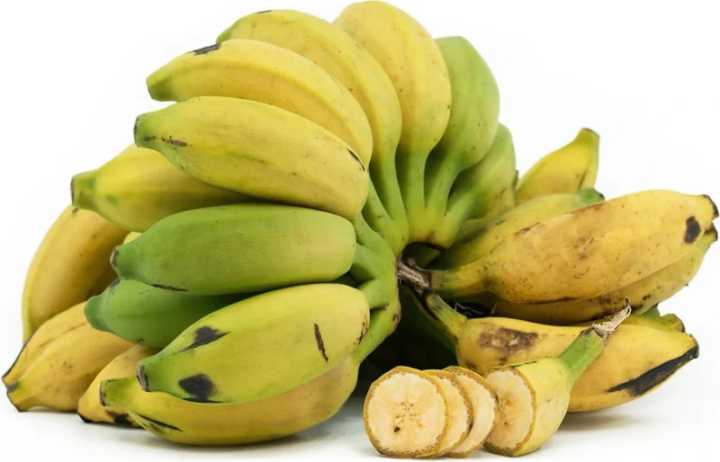 6 Best Tasting Banana Varieties You Should Plant for Your Garden Home 3 Mysore Banana