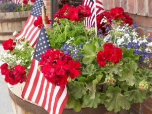 patriotic garden