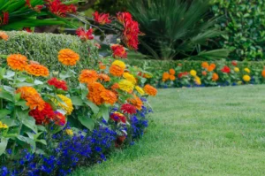 summer garden ideas wth garden's color trends