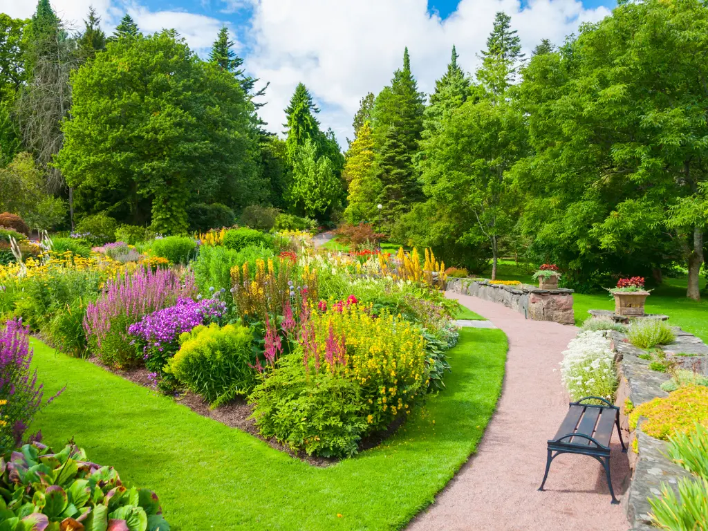 Incorporate Bold, Vibrant Colors with Flowers to your garden