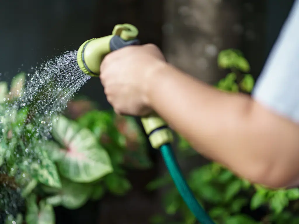 July Gardening Tips for Growing Healthy Vegetables in Hot Weather 4 watering tips for July's garden