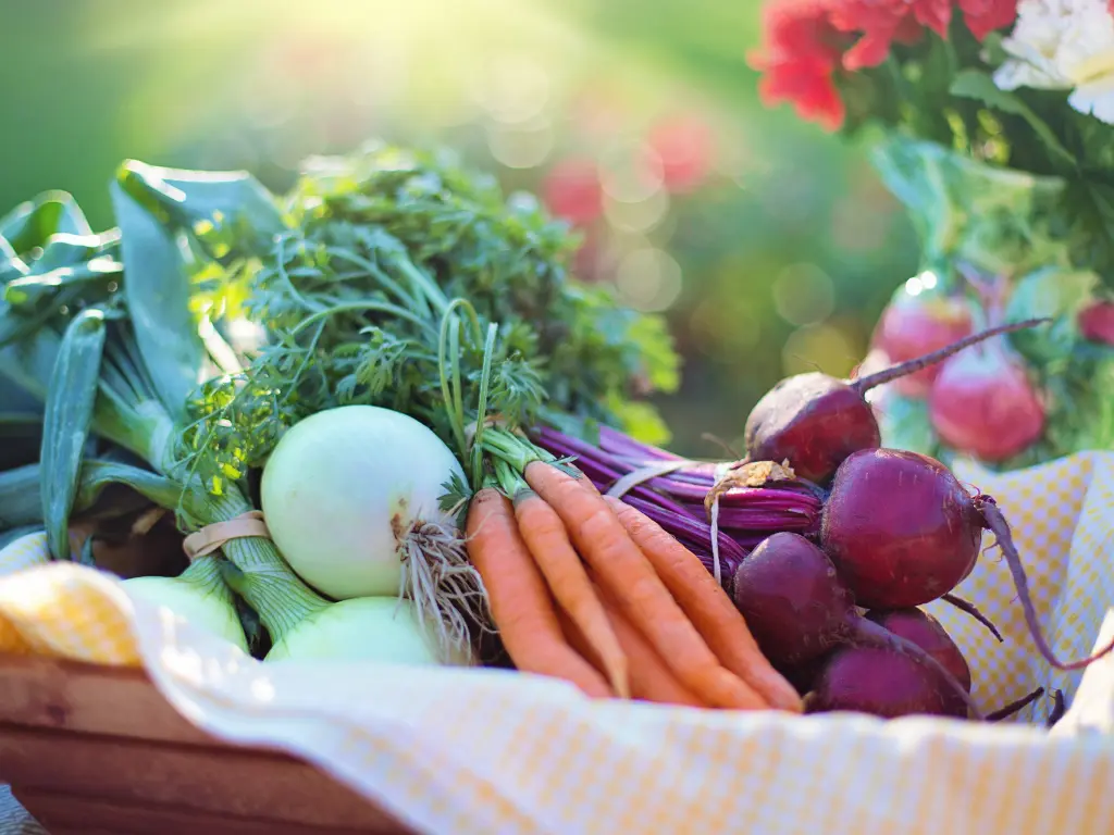 July Gardening Tips for Growing Healthy Vegetables in Hot Weather 2 Best Heat-Resistant Vegetables for Hot Weather