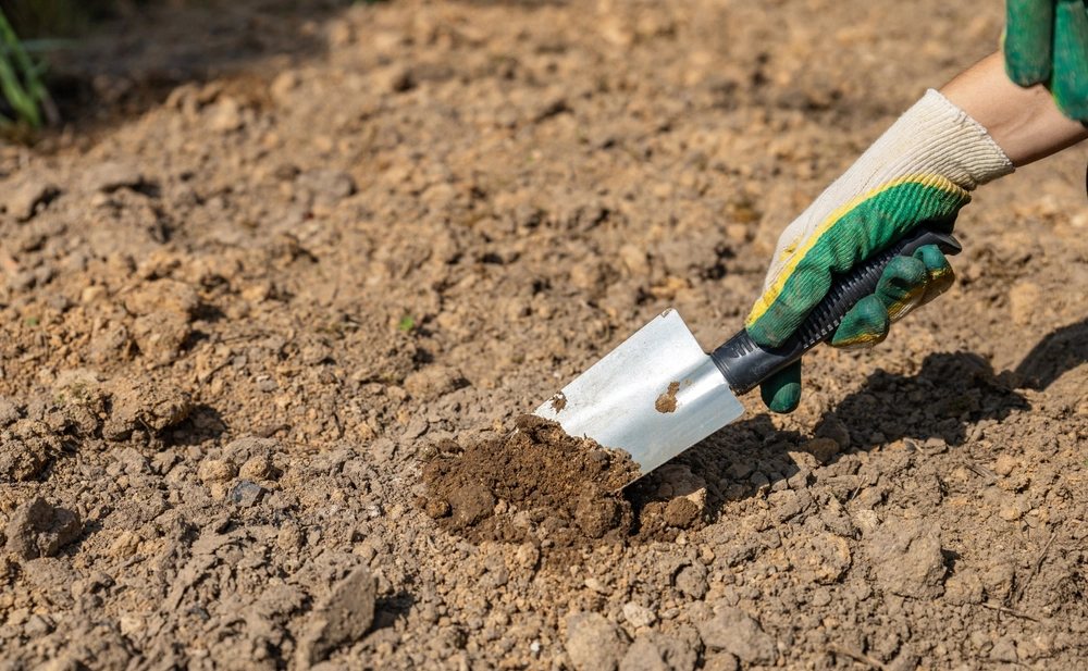 July Gardening Tips for Growing Healthy Vegetables in Hot Weather 5 Maintain Healthy Soil During Summer