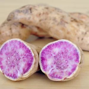 Okinawa Purple Sweet Potato Slips - 10 Healthy Starter Plants for Your Garden