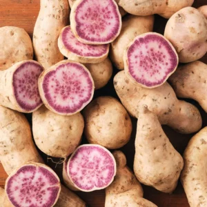Okinawa Purple Sweet Potato Slips - 15 Healthy Starter Plants for Your Garden