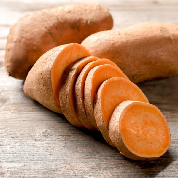 Beauregard Sweet Potato Slips - 10 Starter Plants - Grow Delicious Sweet Potatoes