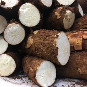 Sweet Cassava Cuttings - Yuca Manihot Esculenta - Set of 10 - Root Vegetable