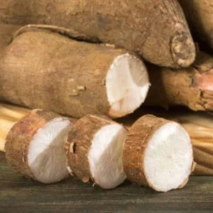 Sweet Cassava Cuttings - Yuca Manihot Esculenta - Set of 10 - Root Vegetable