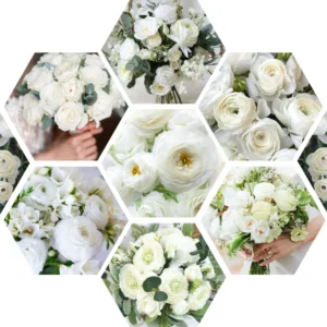 Ranunculus Bulbs For Fall Planting - 25 Ranunculus Corms, Blooming Perennial Flowers