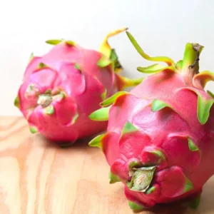 Dragon Fruit Plant Live, Live Purple Dragon Fruit Plant, 4 to 7 Inches Tall, Sweet Fruit Plant, Dragon Fruit Live Plant, Dragon Fruit Starter Plant