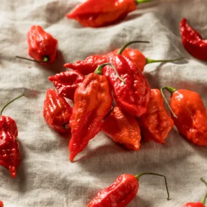 100 Pepper Seeds for Planting Outdoors, Garden Vegetable Seeds