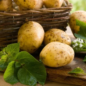 Yukon Potato Seeds: 4 Lbs High Yield Seed Potatoes for Planting