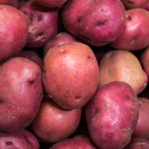 Red Potato Seeds for Planting - 4 Lbs High Yield Seed Potatoes
