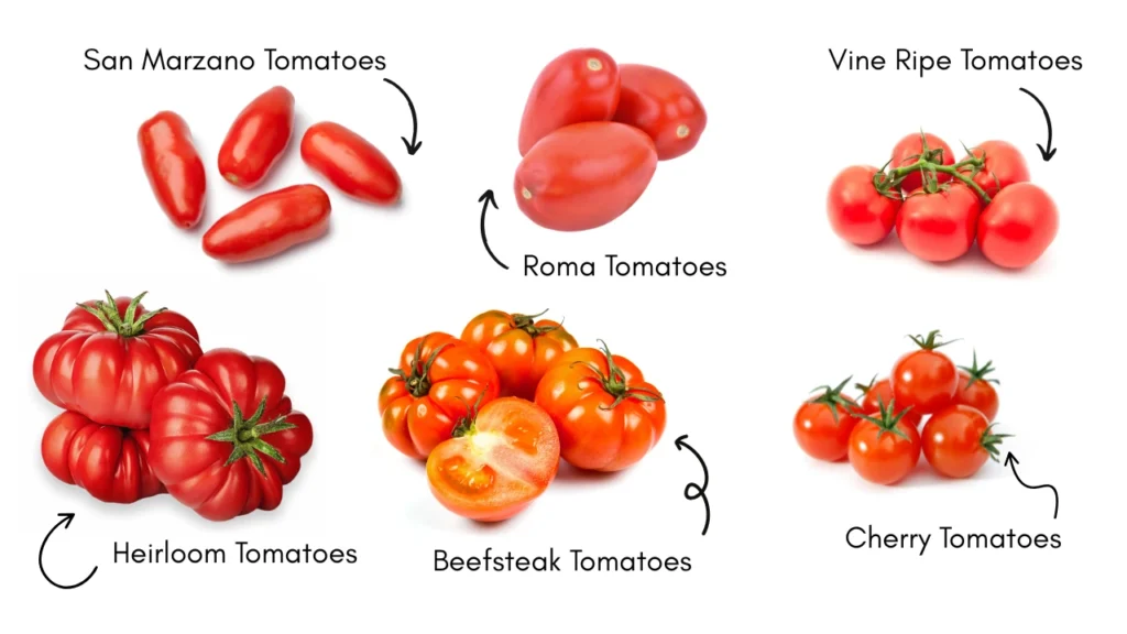 san marzano vs. other tomatoes