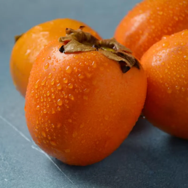 Persimmon Tree Live Plant Cold Hardy 6-12 Inches