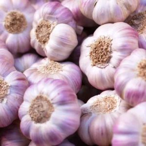 1 Pound Hard Neck Garlic for Planting in Fall, Top Size Garlic Bulb for Planting, Fresh and High Yield, Cold Hardy, Planting Softneck Hardneck